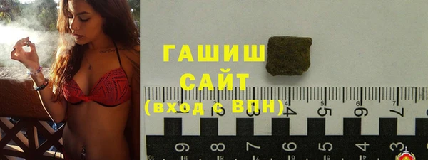 прущие грибы Алзамай