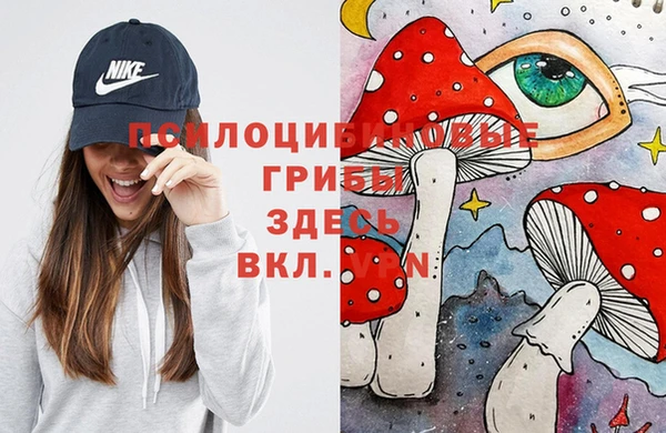 таблы Алексин