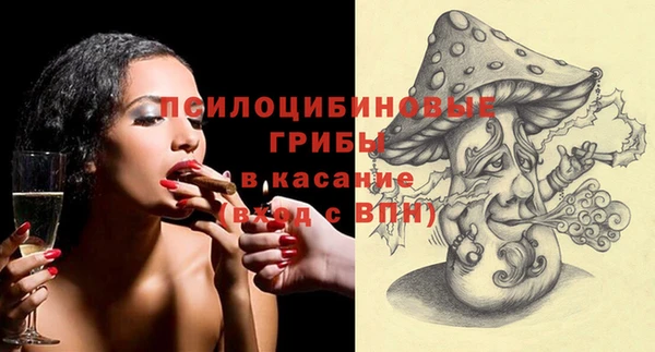 прущие грибы Алзамай