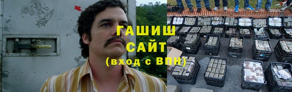 прущие грибы Алзамай