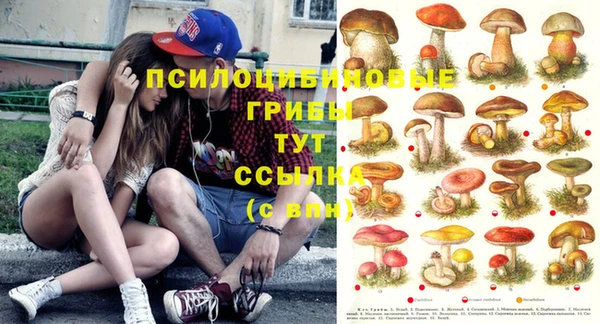 герыч Алексеевка