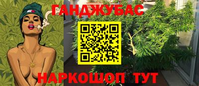 мет Ефремов