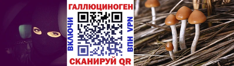 Псилоцибиновые грибы GOLDEN TEACHER  Котельники 