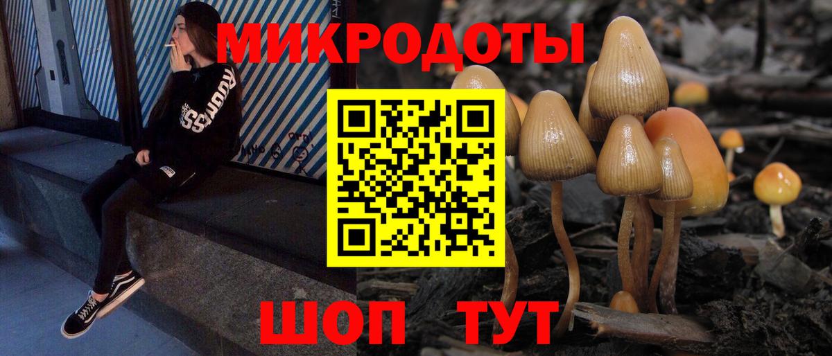 Псилоцибиновые грибы Psilocybe  Вход с VPN  наркошоп  Котельники 