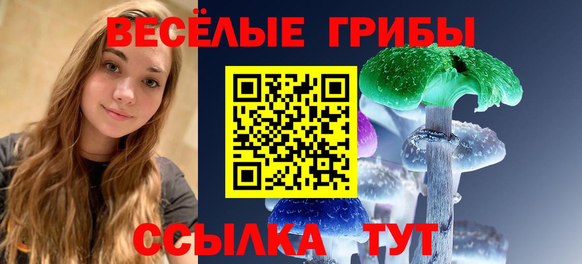 Псилоцибиновые грибы мухоморы Котельники
